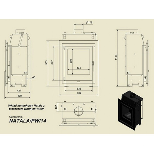 Каминная топка Natala/PW/14 с водяным контуром_1